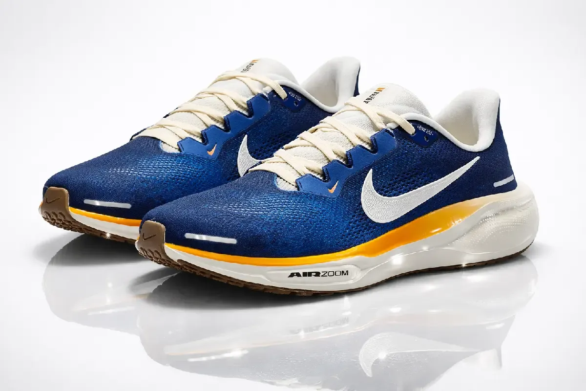 An image of a pair of sneakers Nike Pegasus 41